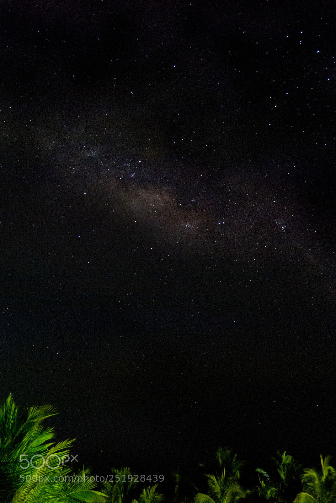 Nikon D3000 sample photo. Milky way seen from photography