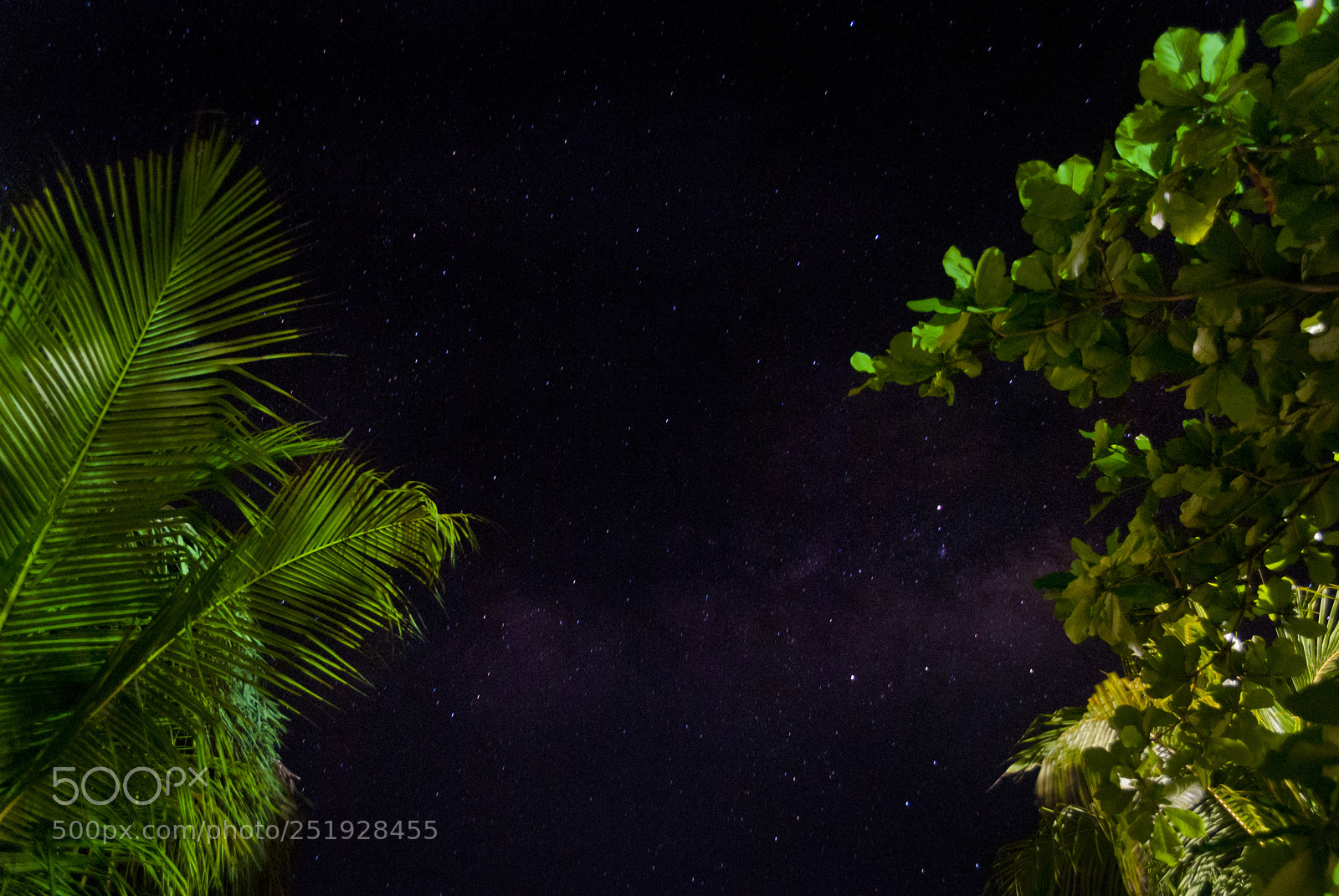 Nikon D3000 sample photo. Milky way seen from photography