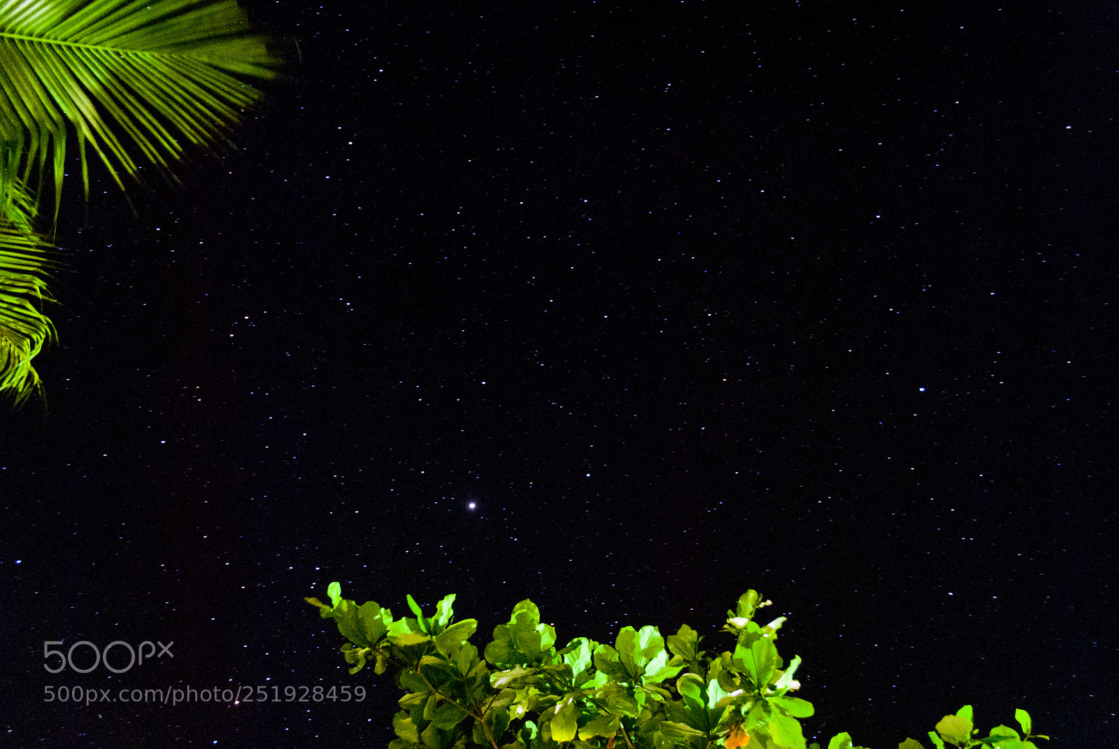 Nikon D3000 sample photo. Milky way seen from photography