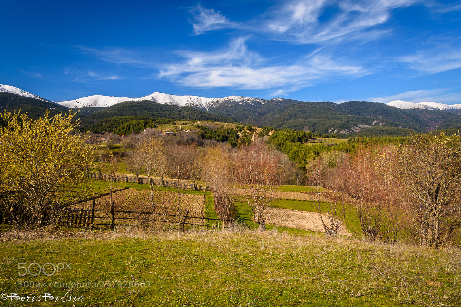 Nikon D7200 sample photo. Spring photography
