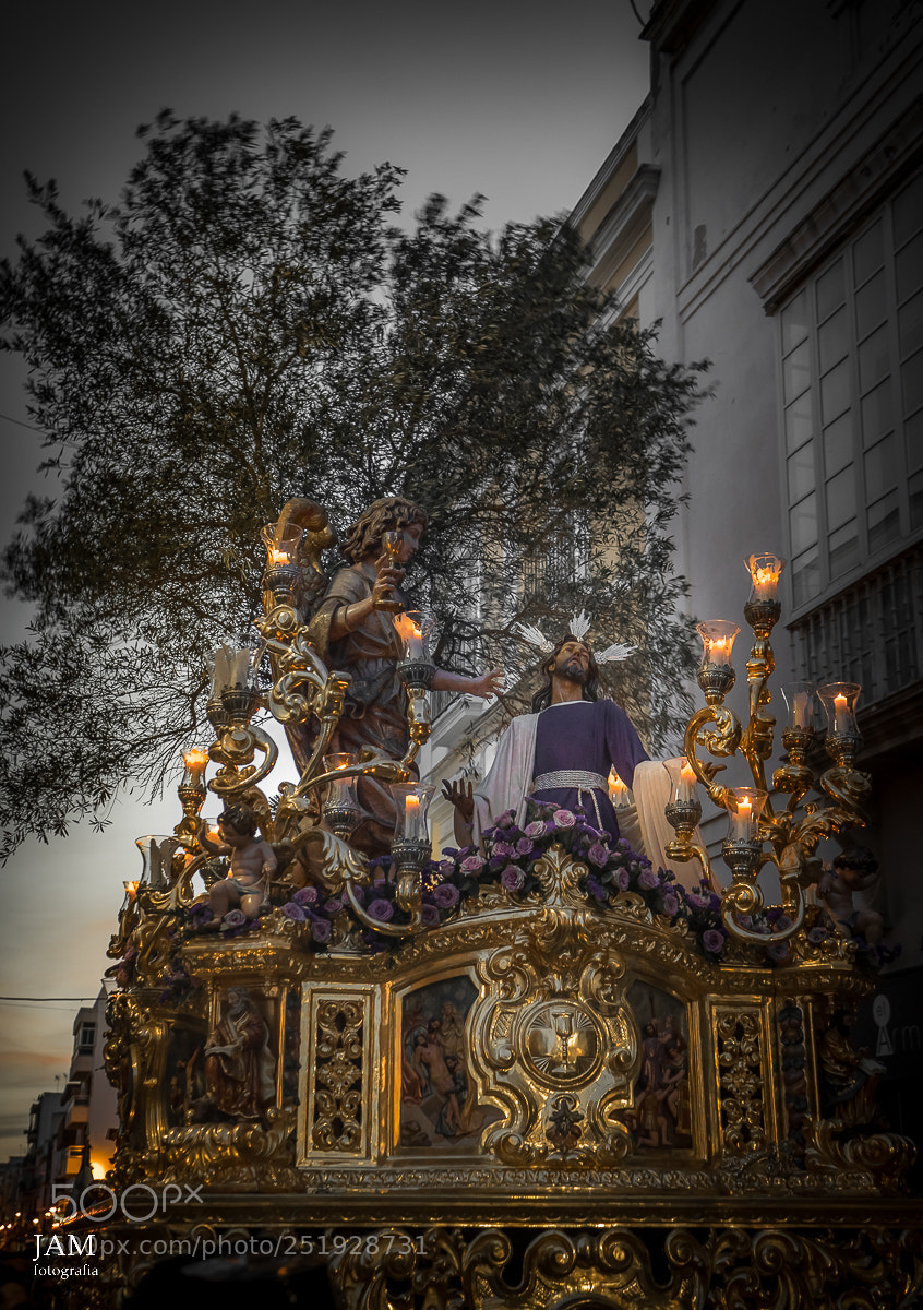 Sony a7 II sample photo. Dsc00410-2.jpg photography