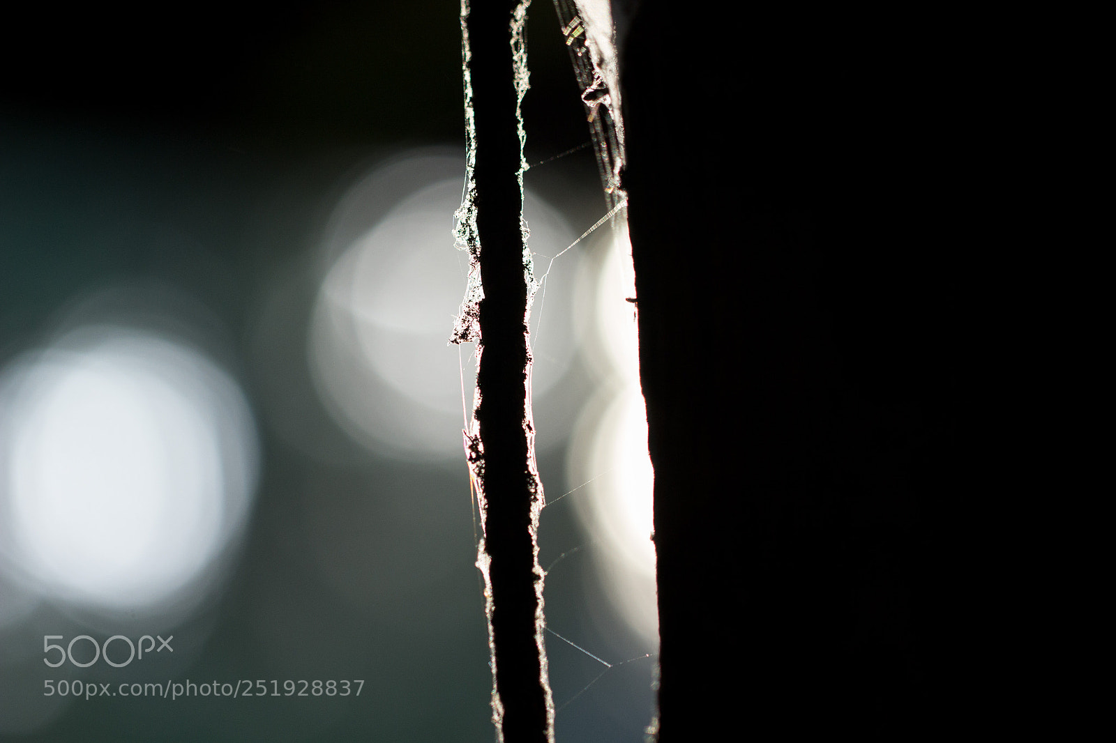 Canon EOS 600D (Rebel EOS T3i / EOS Kiss X5) sample photo. Old rope photography