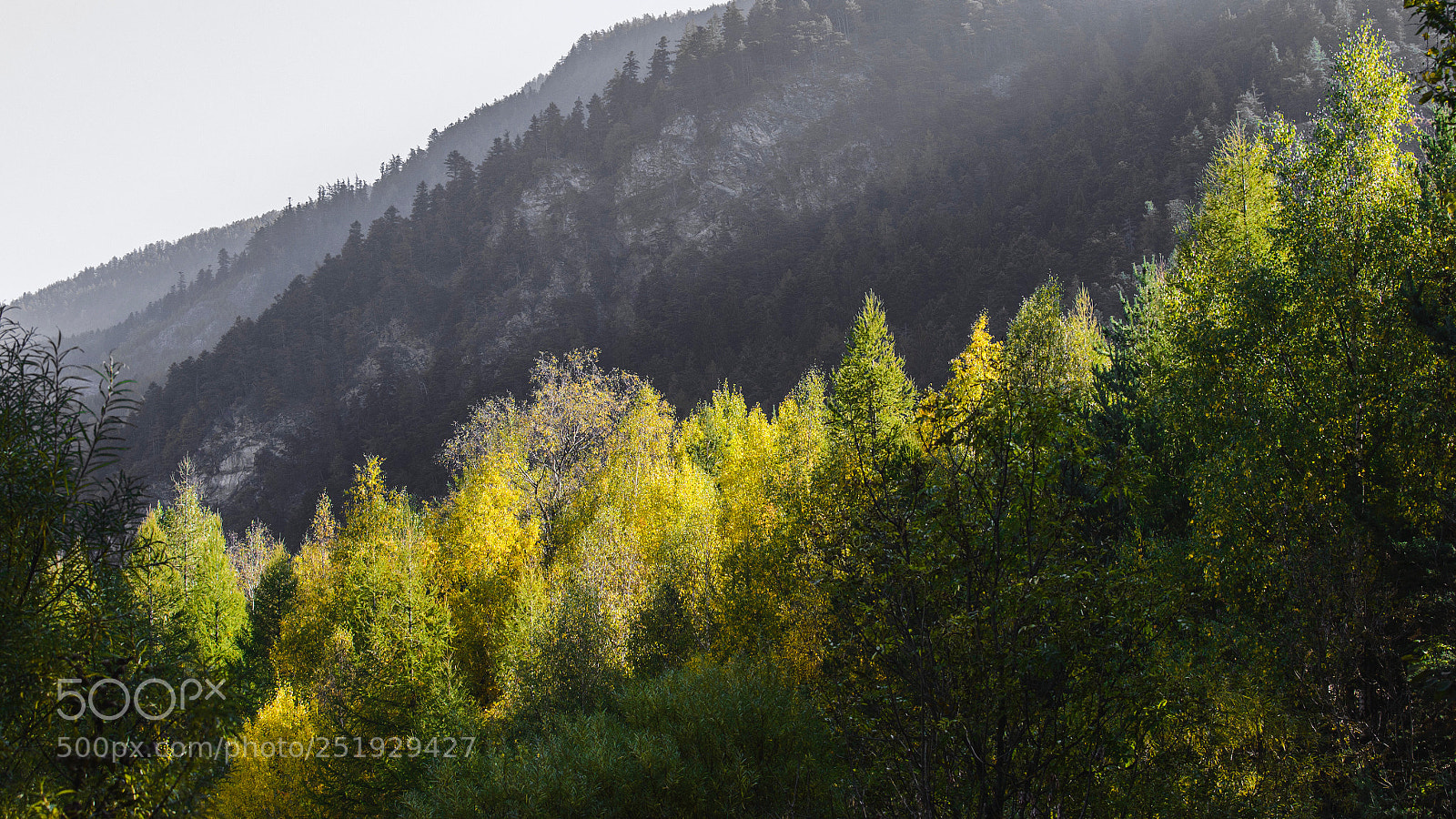 Nikon D610 sample photo. Untitled photography