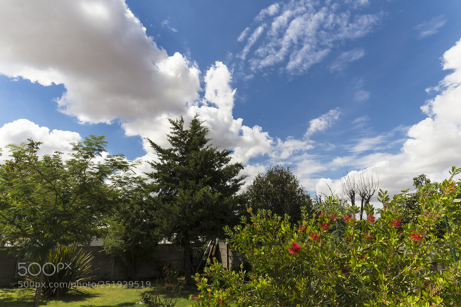 Nikon D3100 sample photo. Tarde con nubes photography