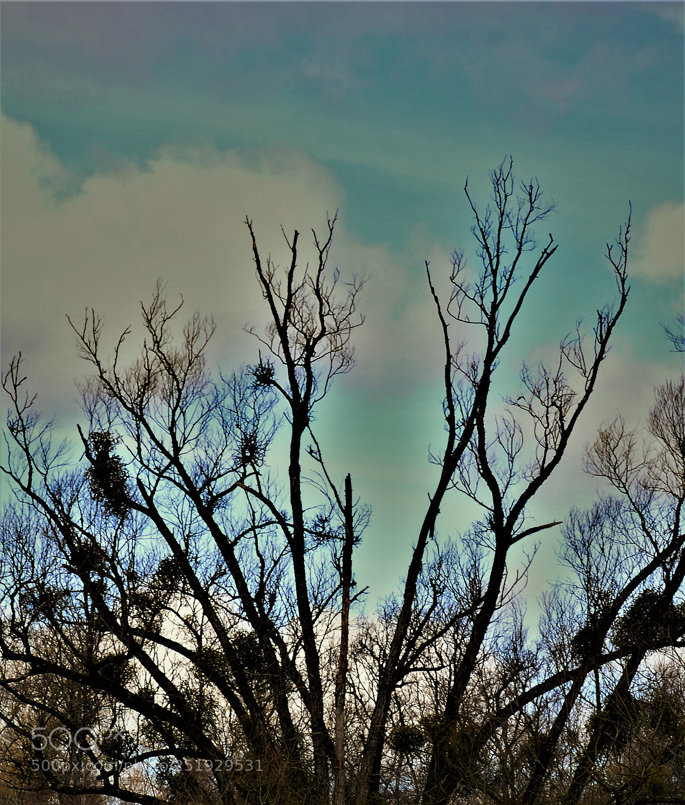 Nikon D3200 sample photo. Untitled photography
