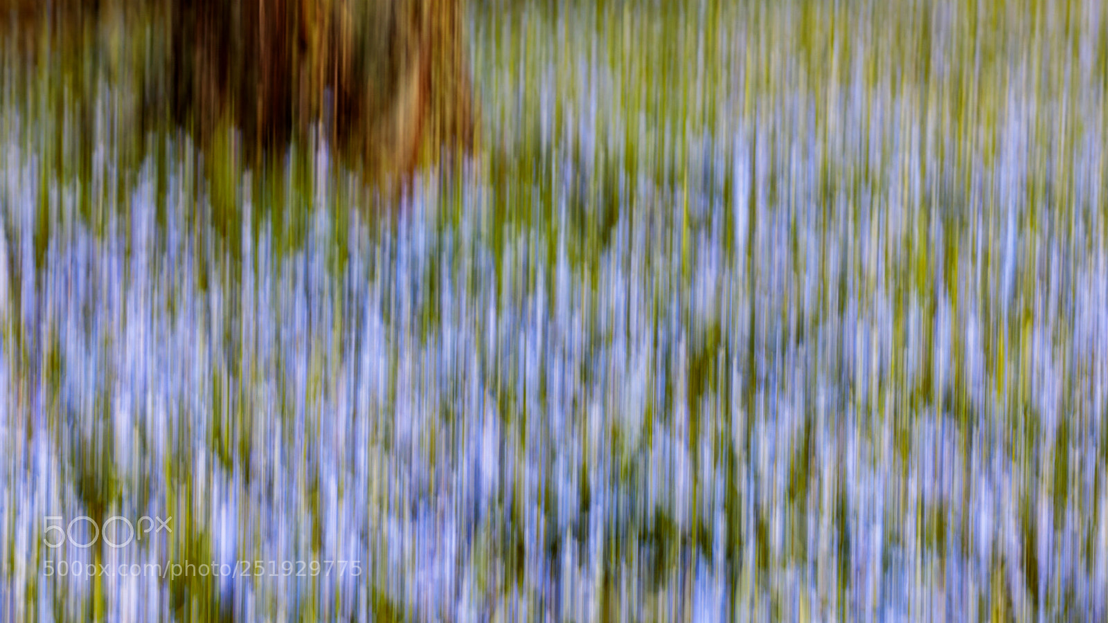 Canon EOS 5D Mark IV sample photo. Colours of spring (blue) photography