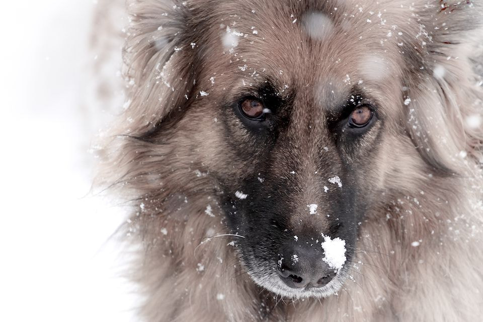 v2?sig=d6f39499dd7c38f2fc5fda0f52fbfb9ba604d49e942417f1ba29d7de13ecfc60