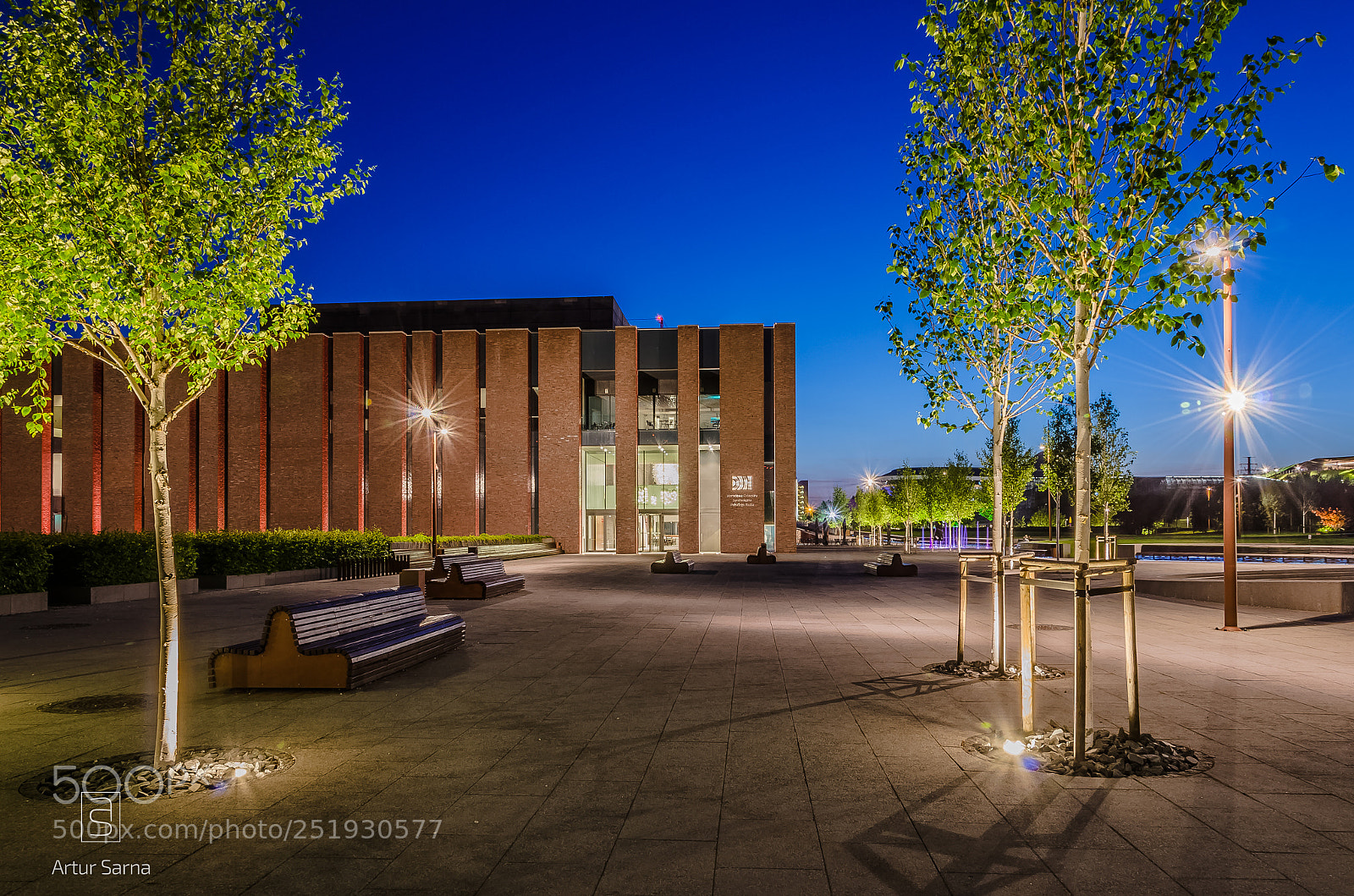 Nikon D5100 sample photo. National polish radio symphony photography