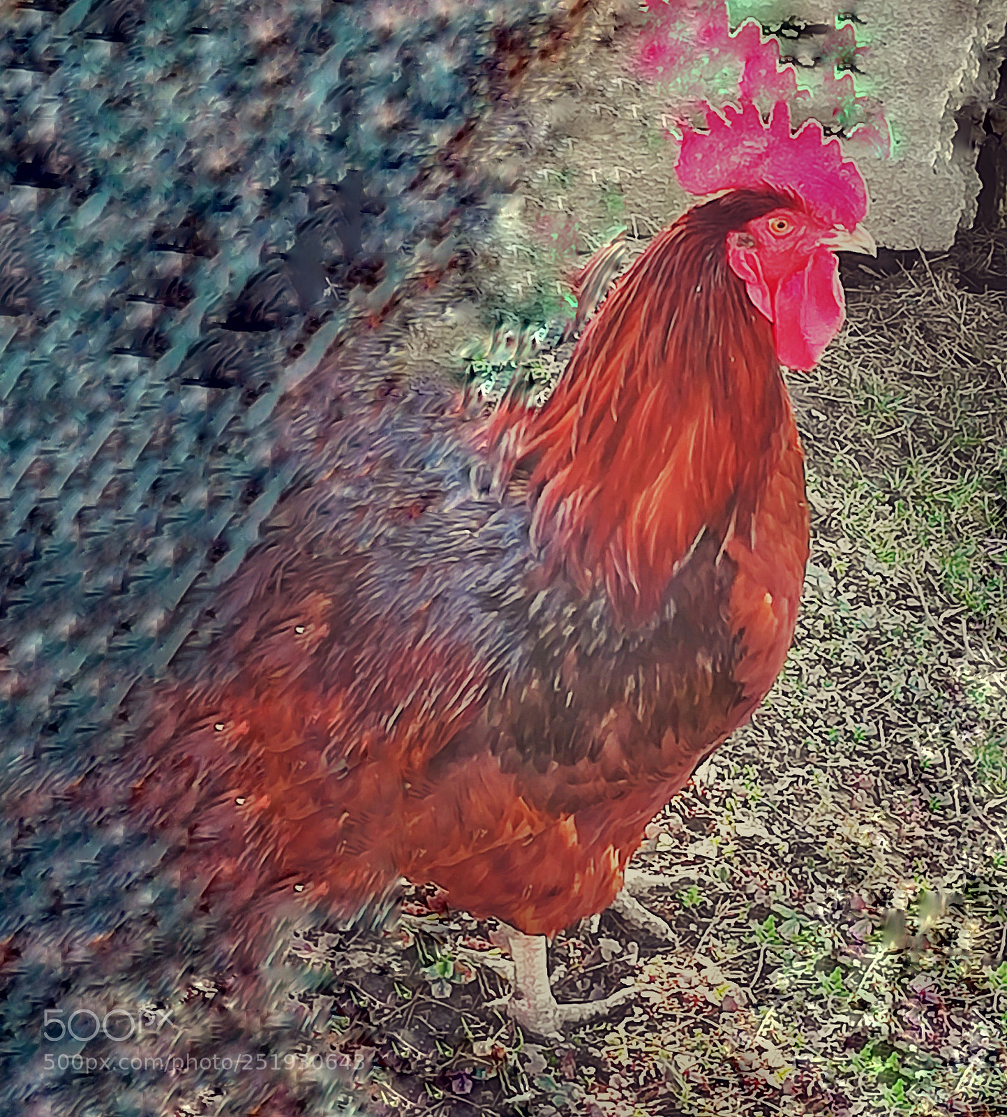 HUAWEI honor 6x sample photo. Untitled photography