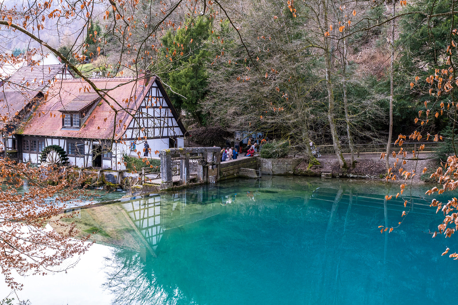 Sony ILCA-77M2 sample photo. Blautopf photography