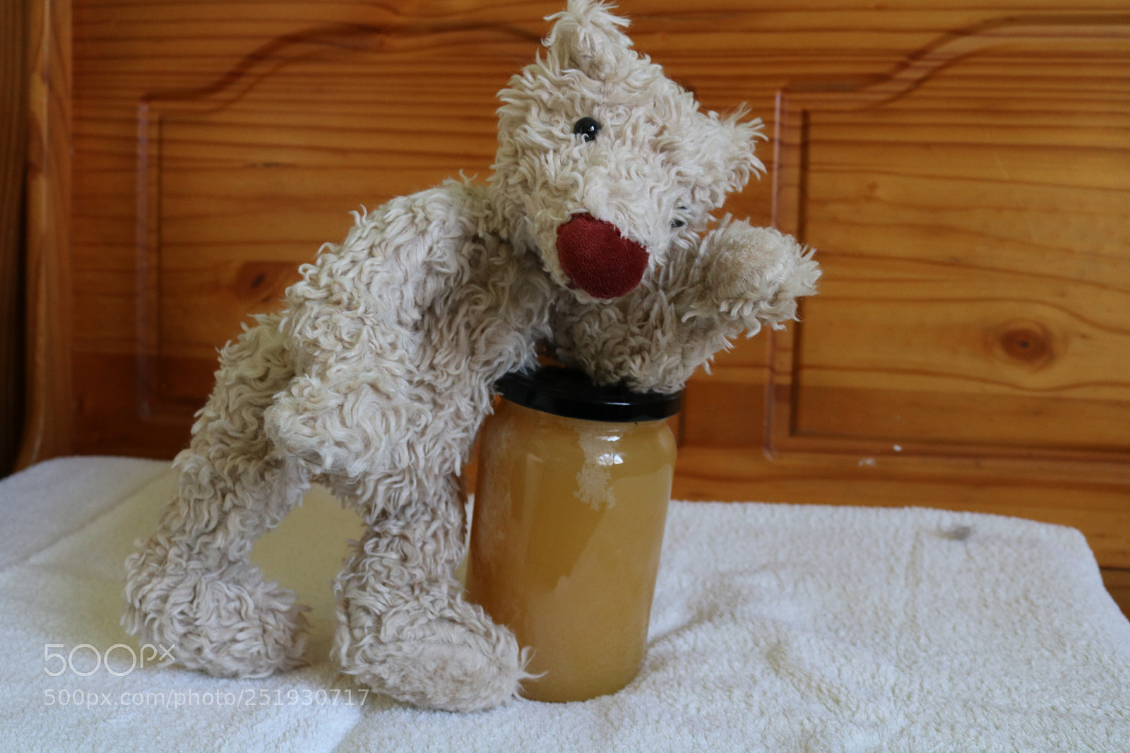Canon EOS 750D (EOS Rebel T6i / EOS Kiss X8i) sample photo. Igor the bear photography