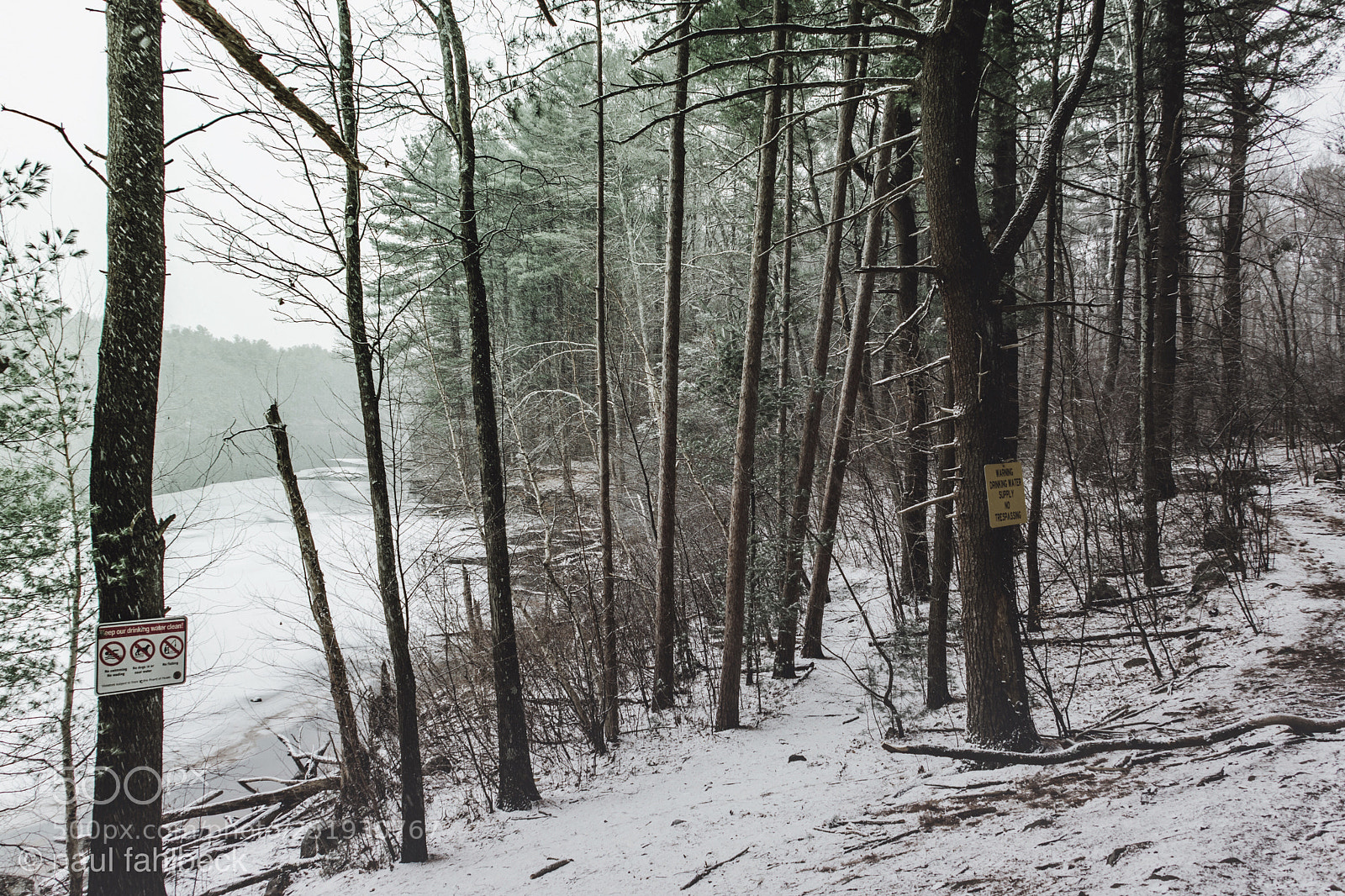 Nikon D7200 sample photo. Thru the storm photography