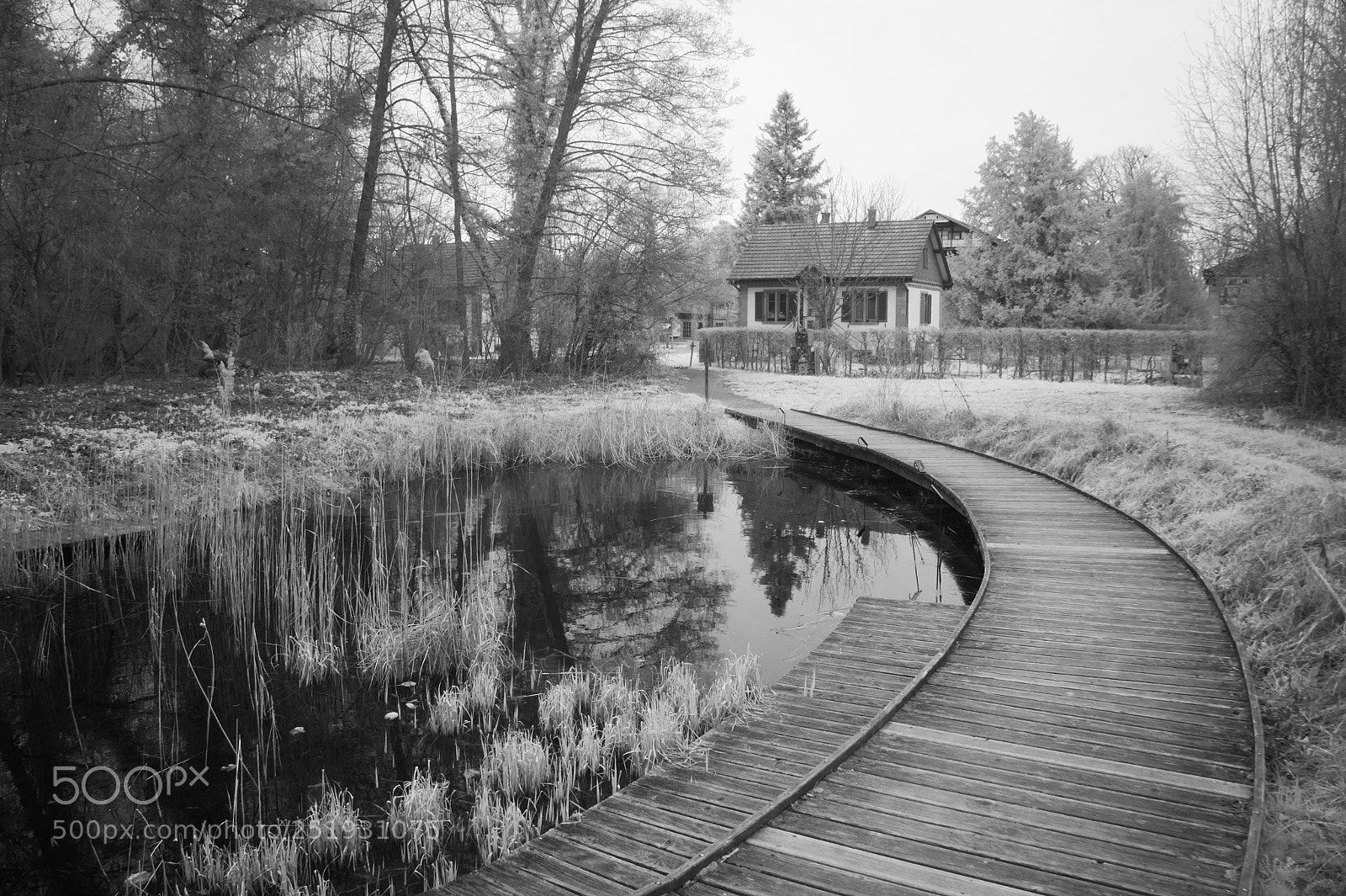 Sony Alpha NEX-5 sample photo. Lost house photography