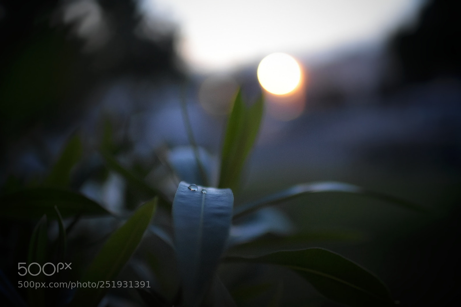 Nikon D7200 sample photo. Quiet street photography