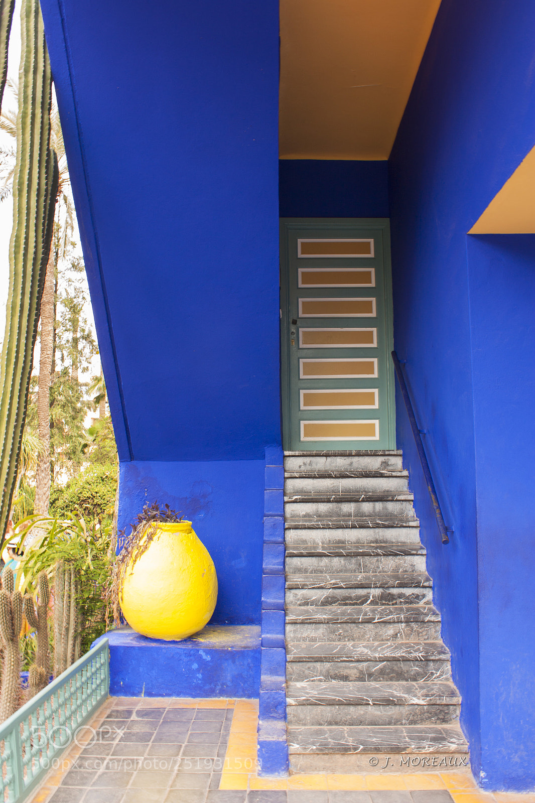 Canon EOS 450D (EOS Rebel XSi / EOS Kiss X2) sample photo. Majorelle photography