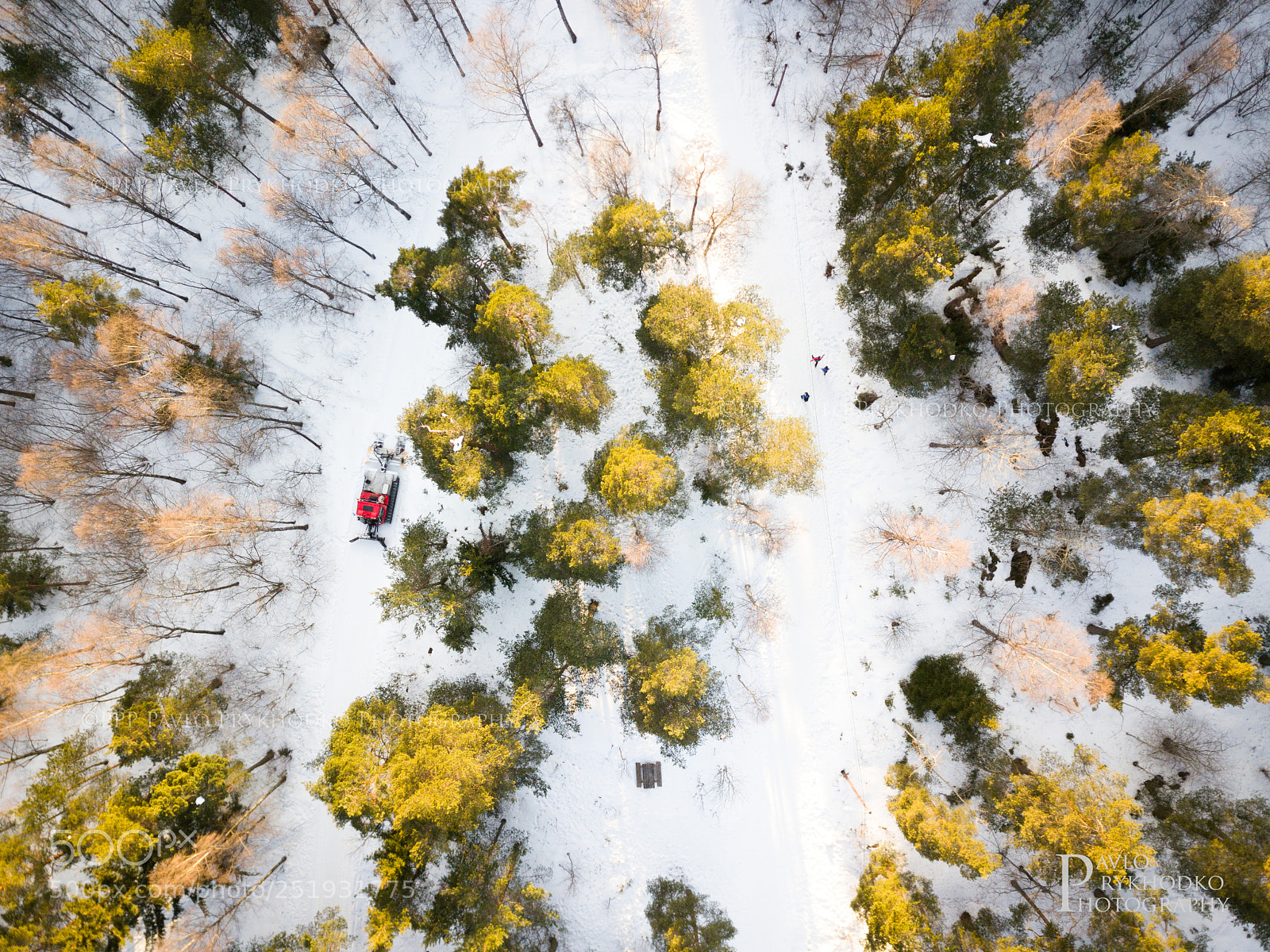 DJI FC220 sample photo. Different paths photography
