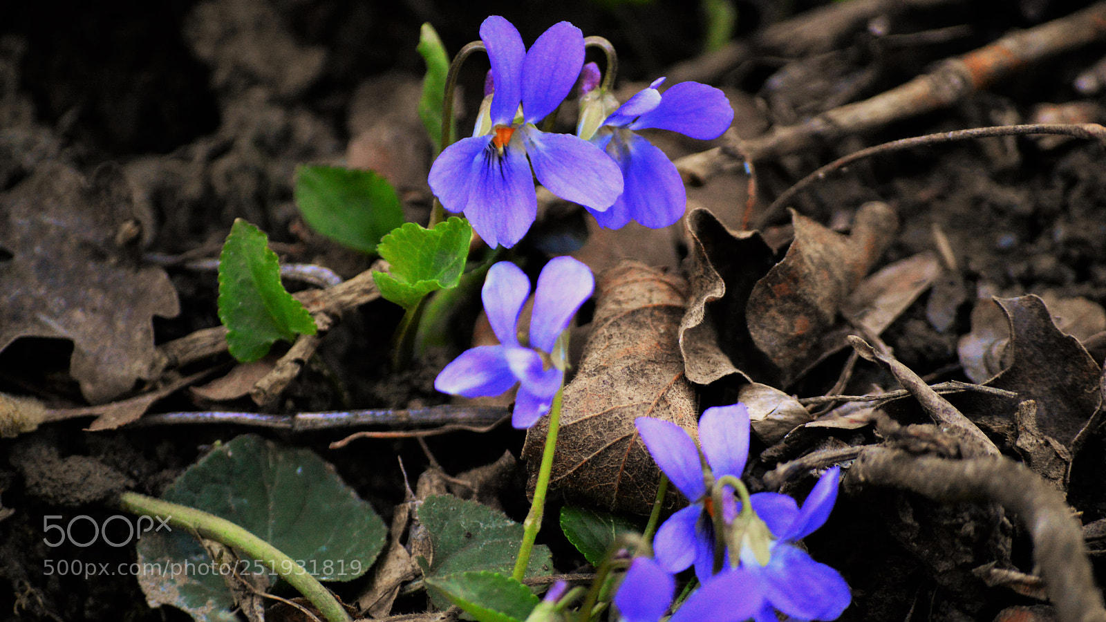 Nikon D3200 sample photo. Untitled photography