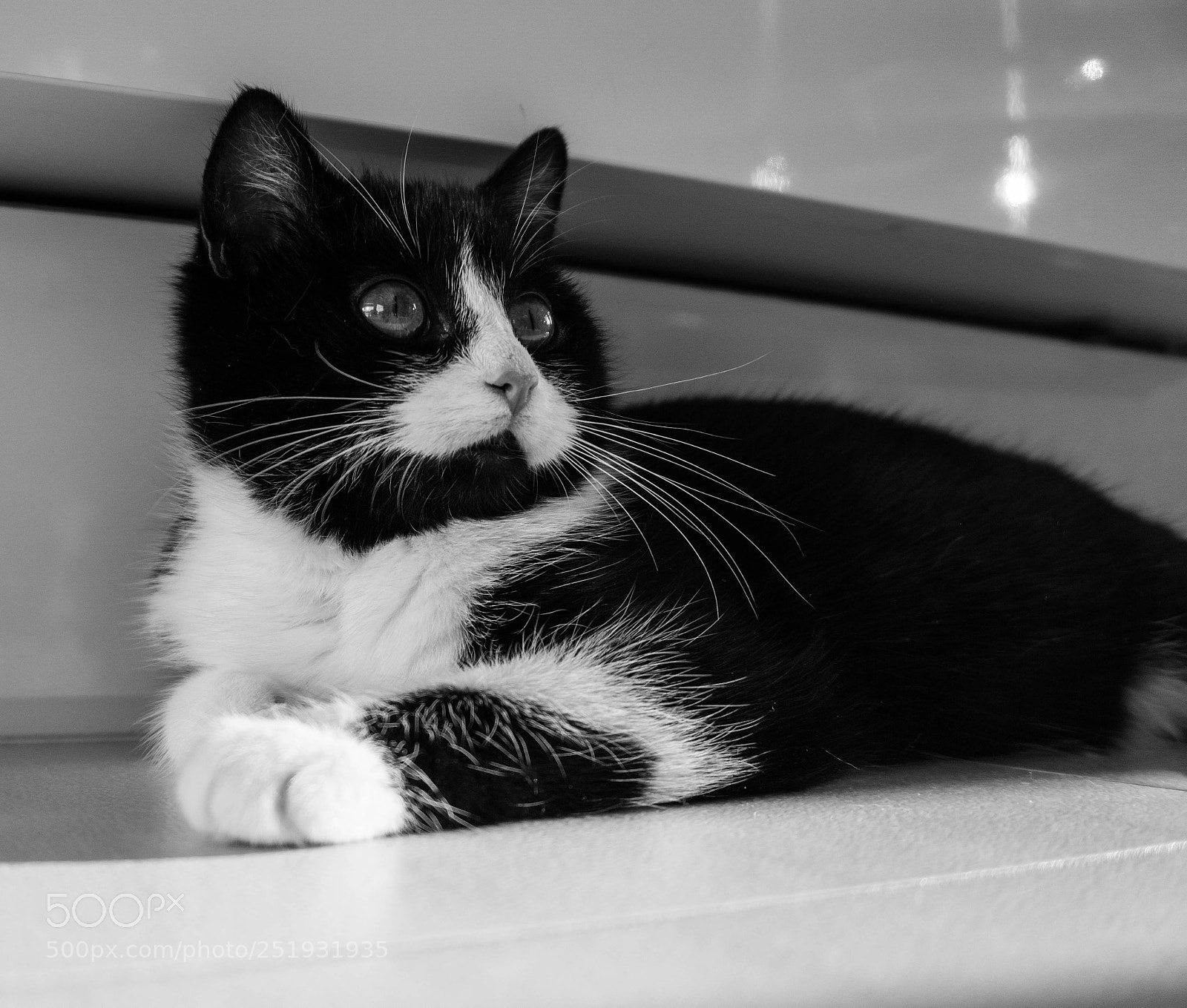 Sony a6000 sample photo. Little leni photography