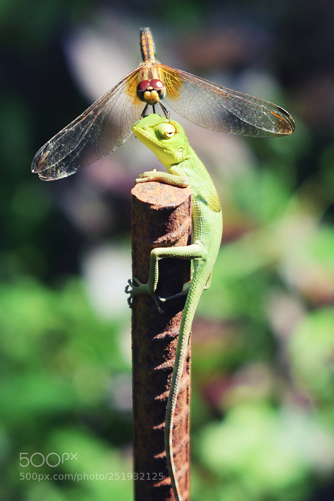 Nikon D5300 sample photo. Untitled photography