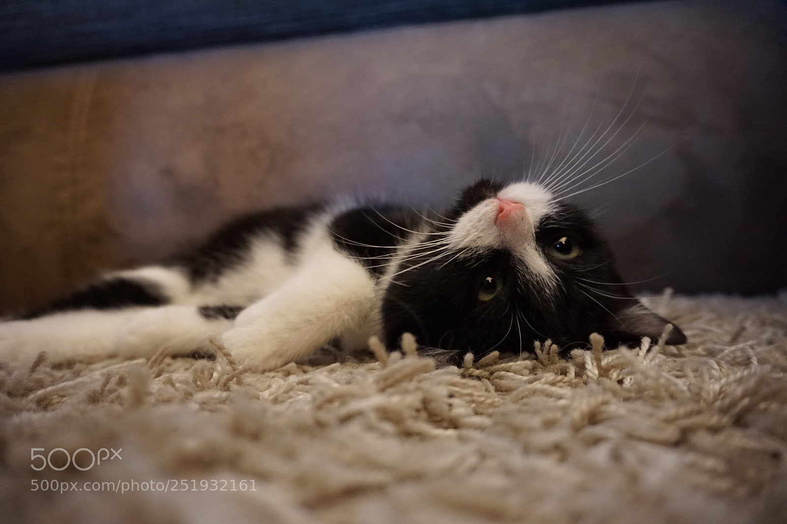 Sony a6000 sample photo. Lie on the floor photography