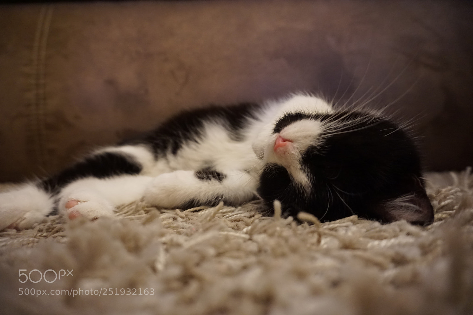 Sony a6000 sample photo. Lie on the floor2 photography