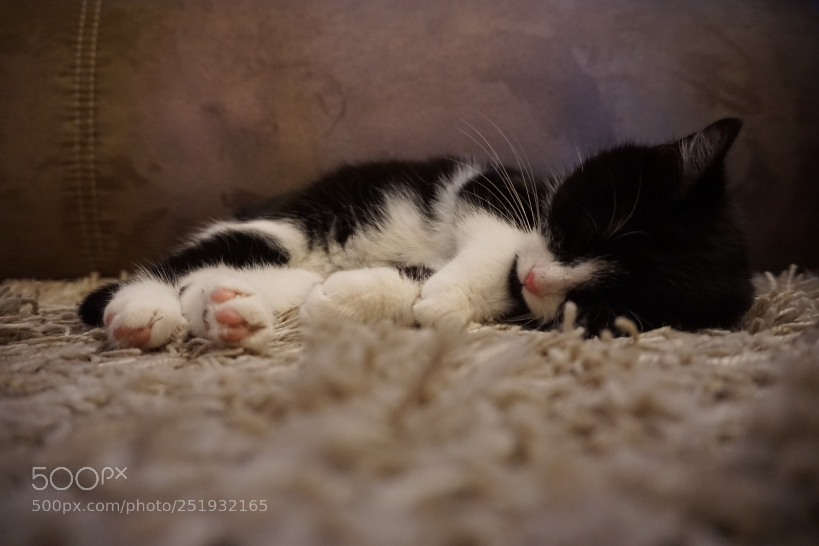Sony a6000 sample photo. Lie on the floor3 photography