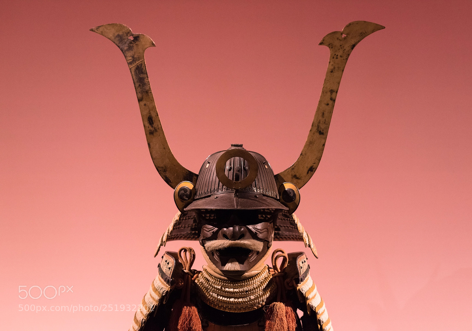 Nikon D810 sample photo. Soleil levant photography
