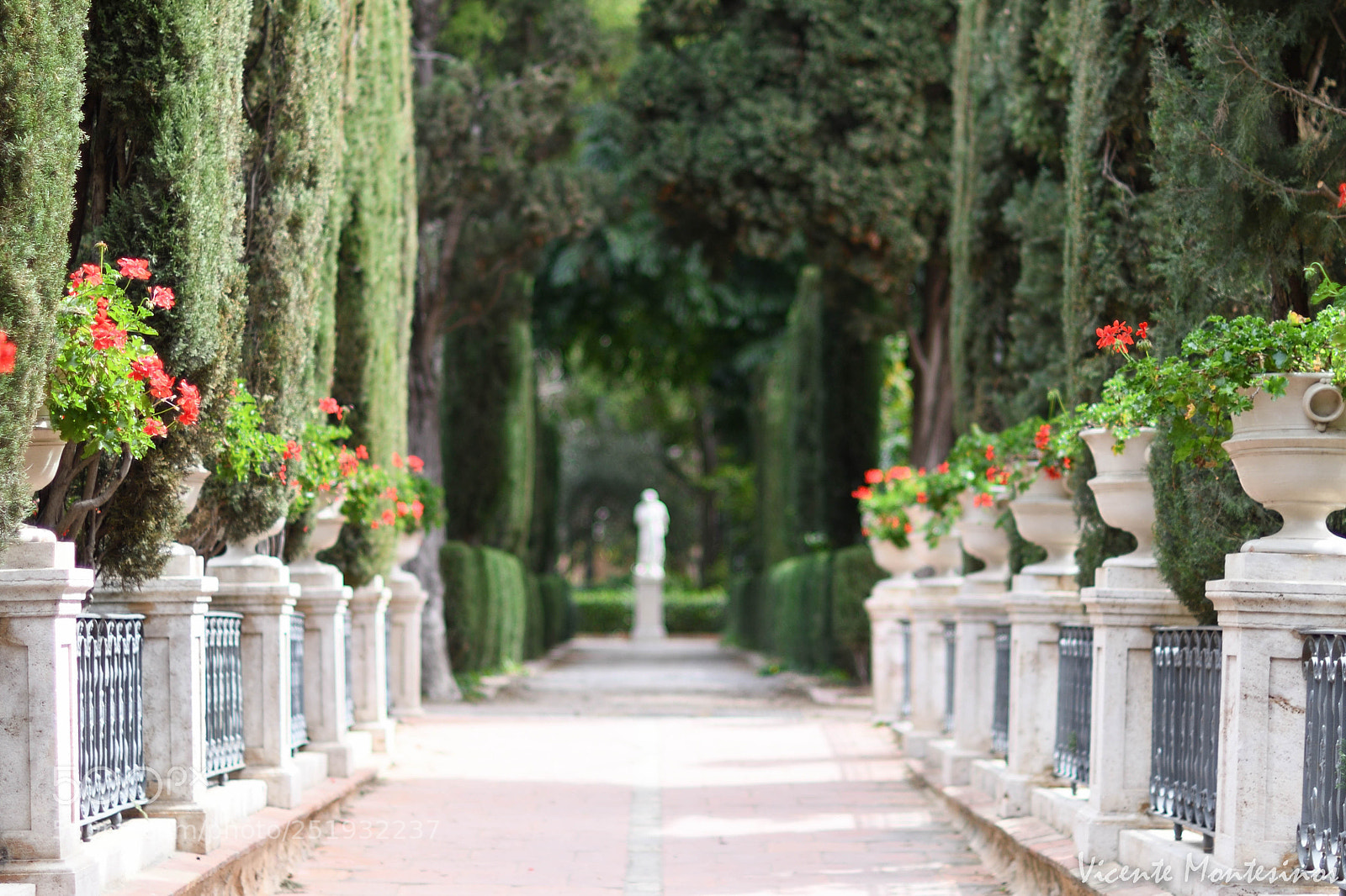 Nikon D7500 sample photo. Jardin de monforte photography