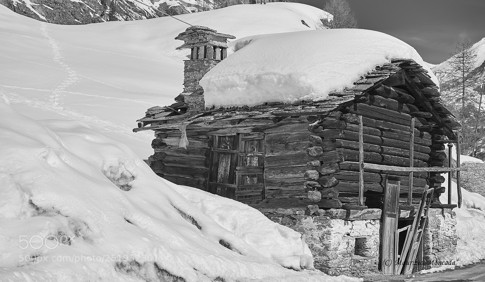 Sony a9 sample photo. Valsavarenche- aosta-italy camosci photography