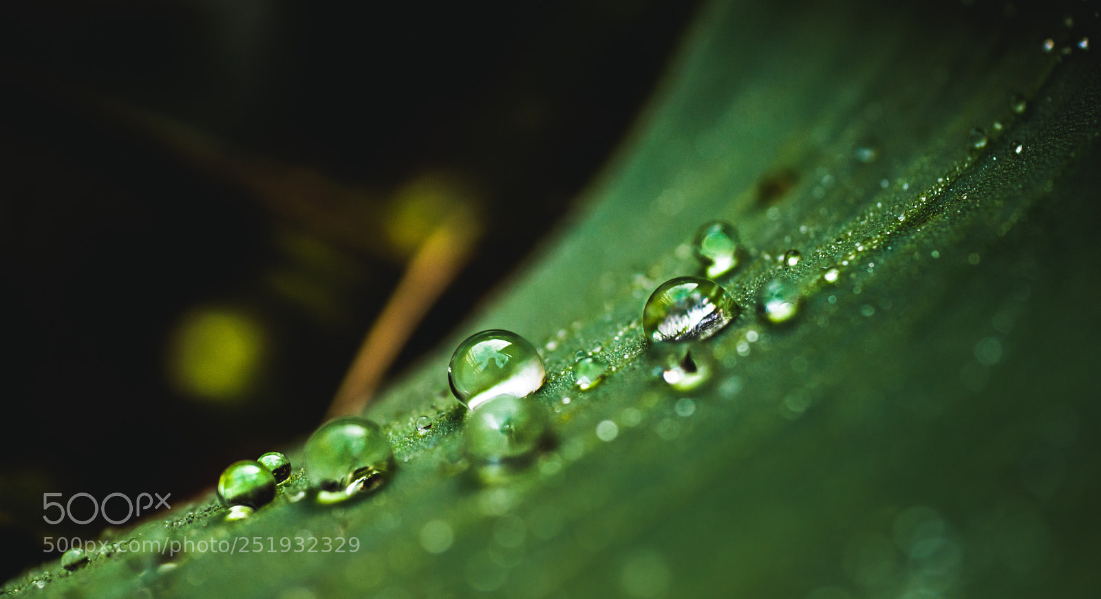 Panasonic Lumix DMC-G7 sample photo. The line of rain photography