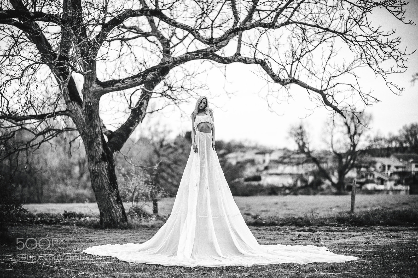Canon EOS 5D Mark IV sample photo. The white lady photography