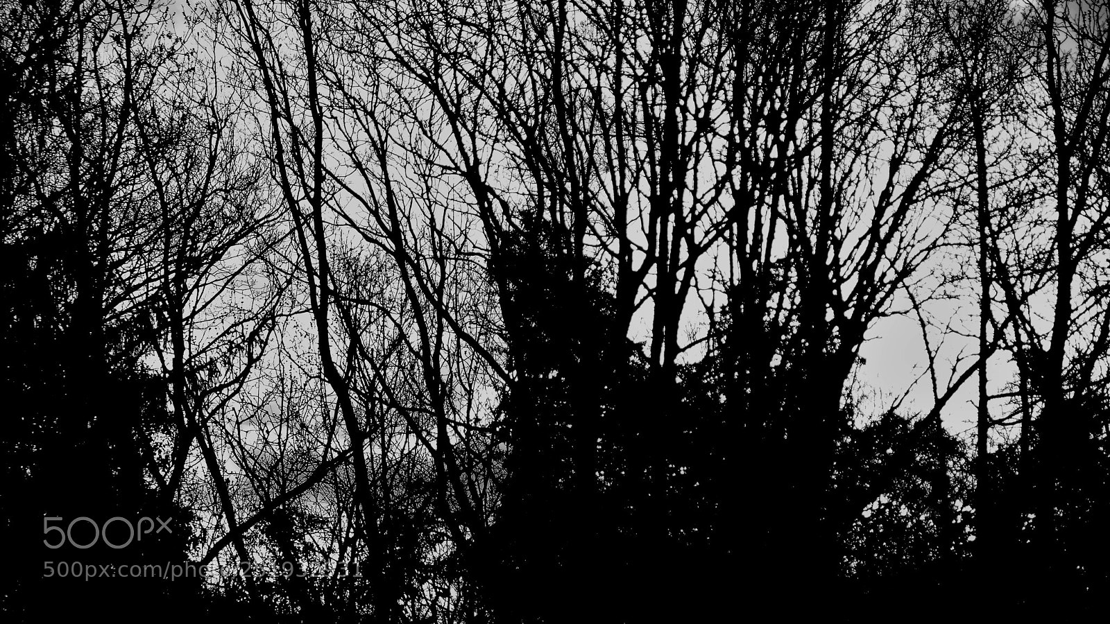 Nikon D3200 sample photo. Untitled photography