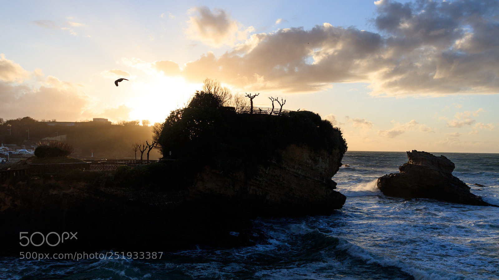 Canon EOS 80D sample photo. Gull over the rocks photography