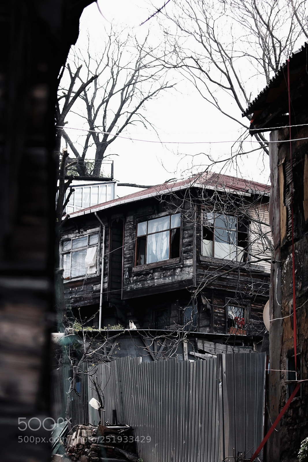 Canon EOS 70D sample photo. Untitled photography