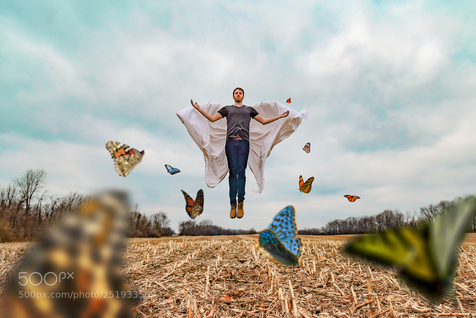 Nikon D5300 sample photo. Metamorphosis photography