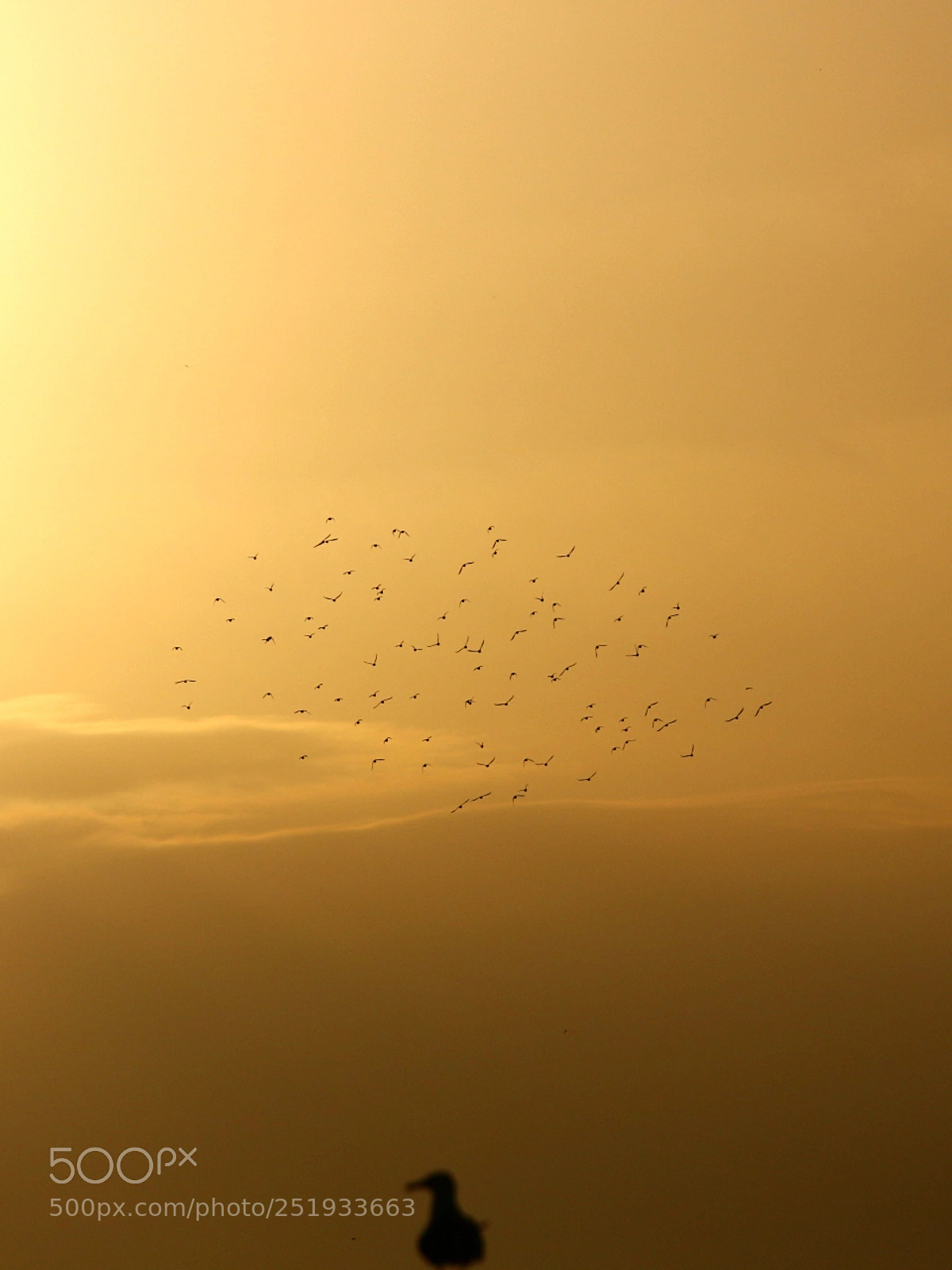 Canon EOS 70D sample photo. Untitled photography