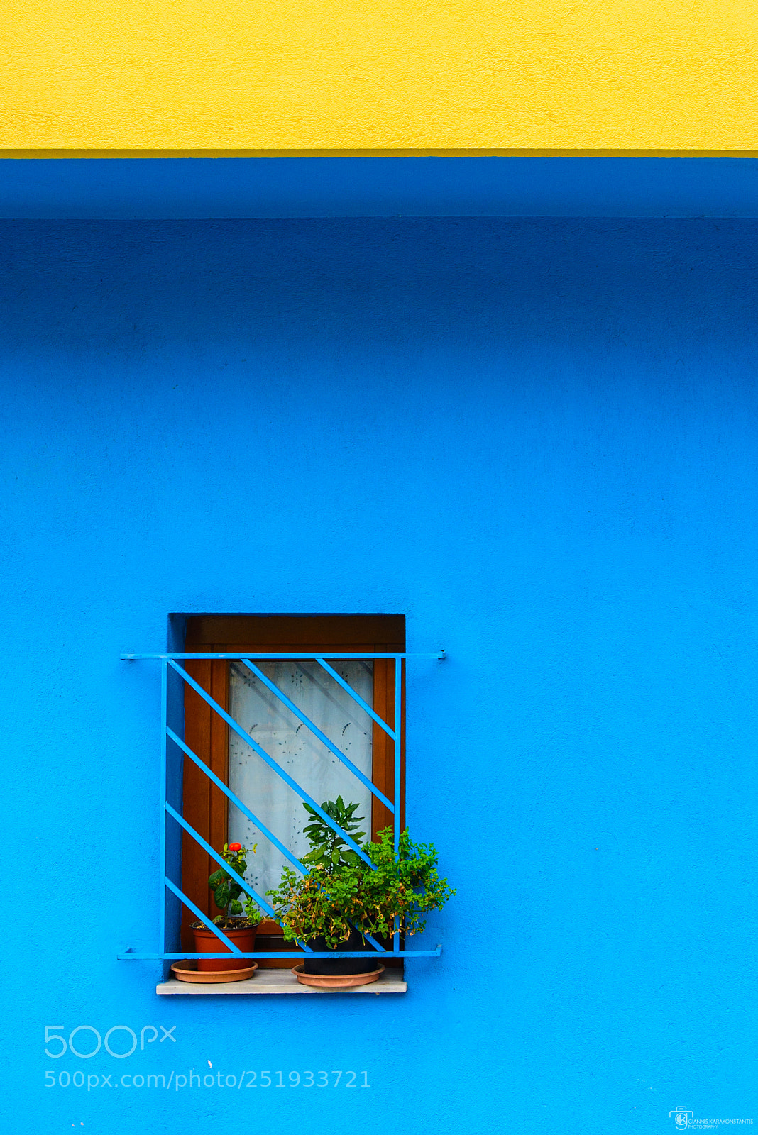 Nikon D610 sample photo. Color photography