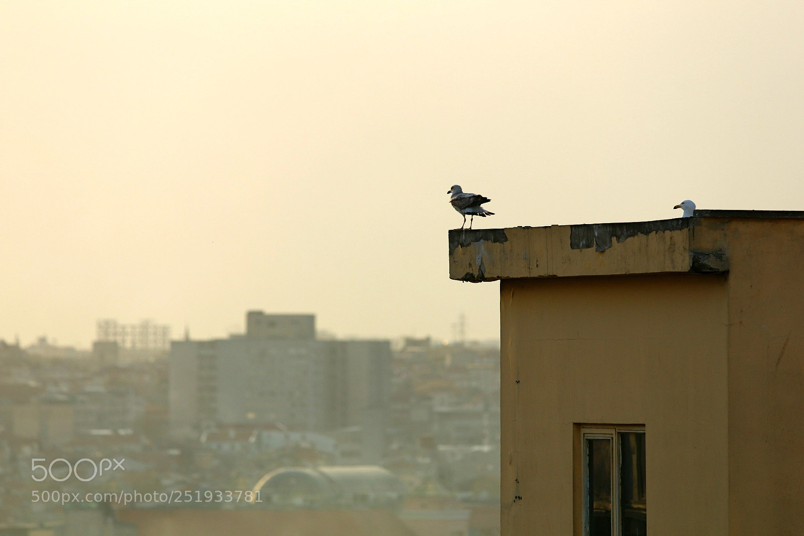 Canon EOS 70D sample photo. Untitled photography