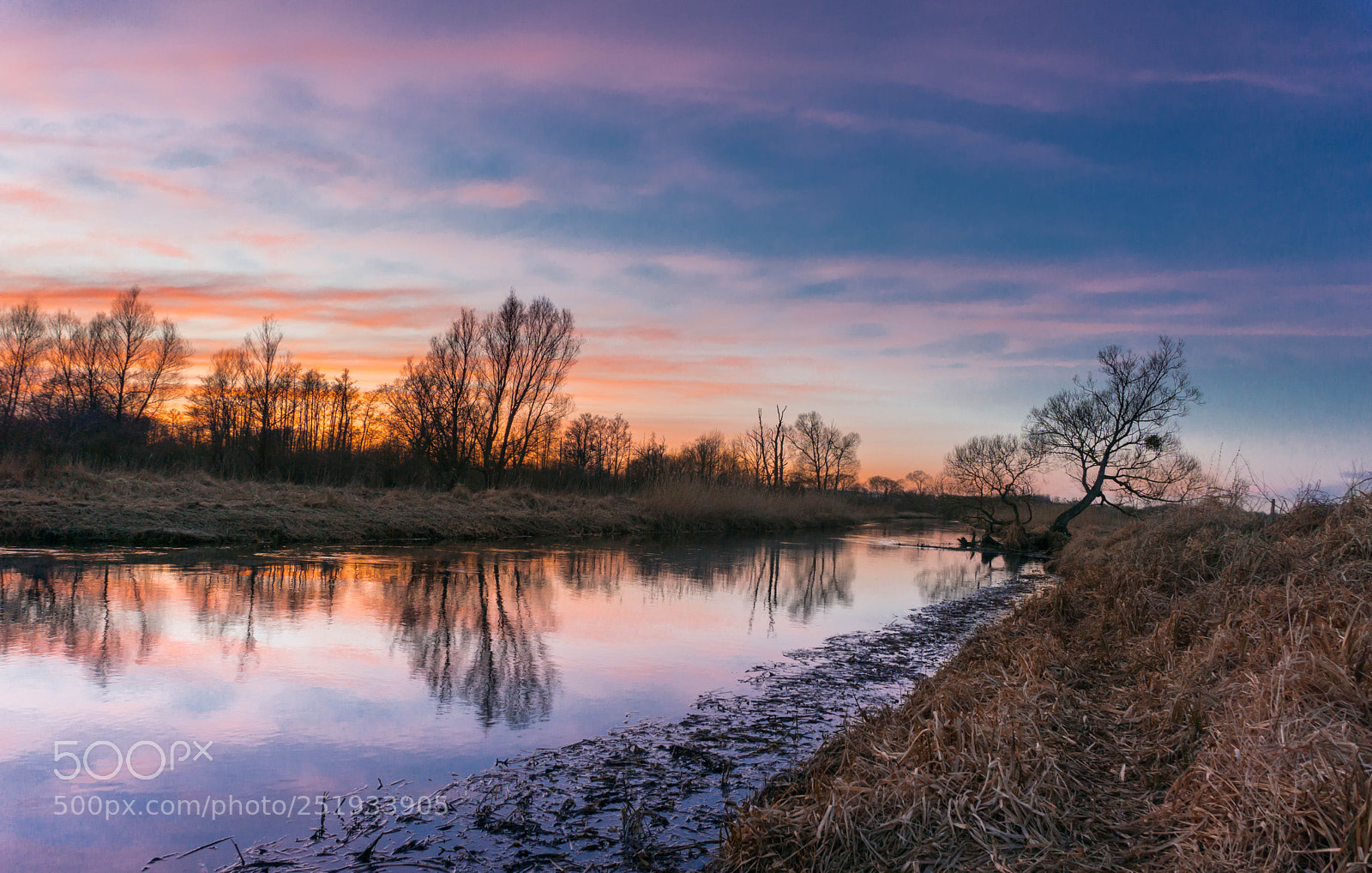 Sony a6000 sample photo. Dsc photography
