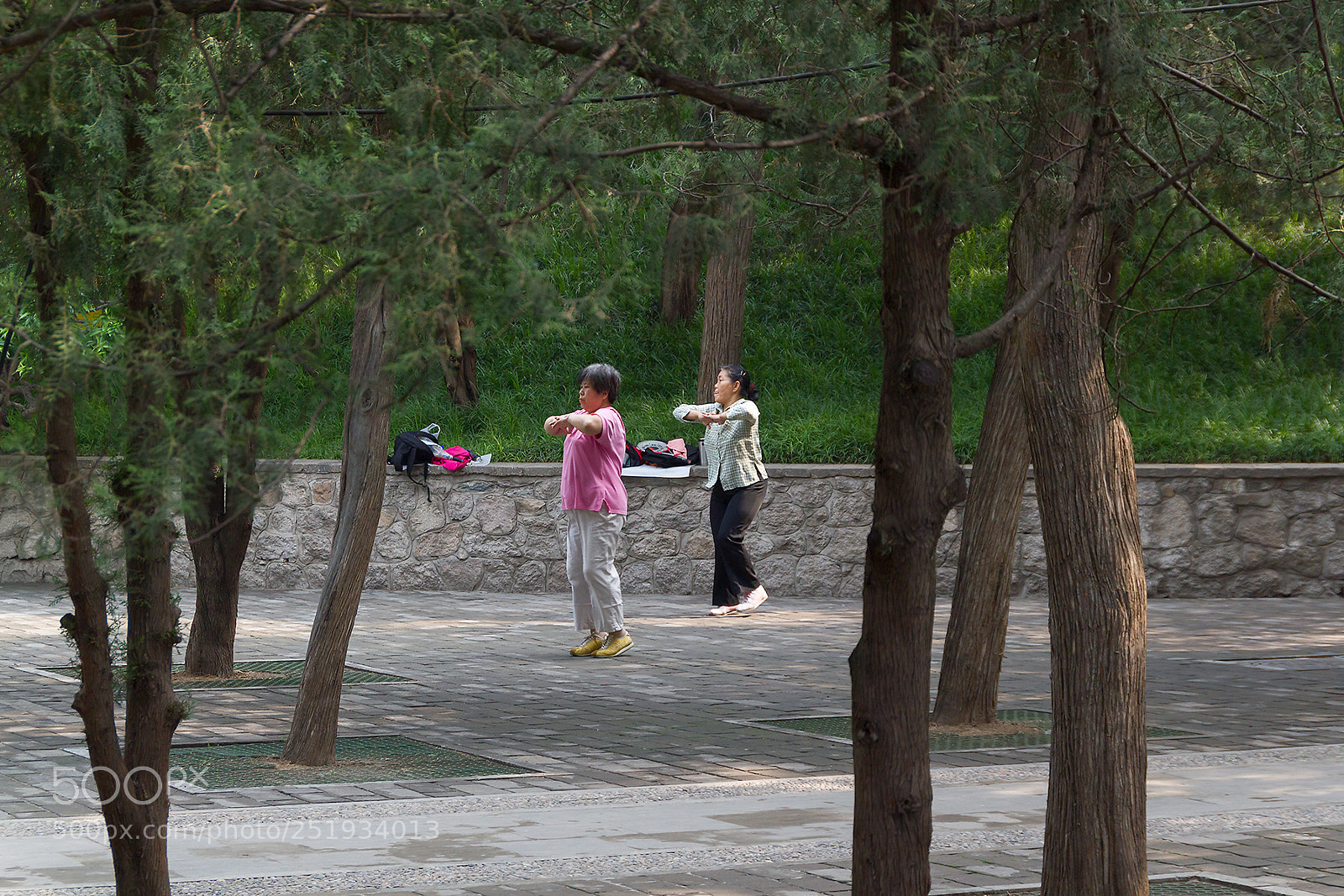 Canon EOS 550D (EOS Rebel T2i / EOS Kiss X4) sample photo. Exercise at the summer photography