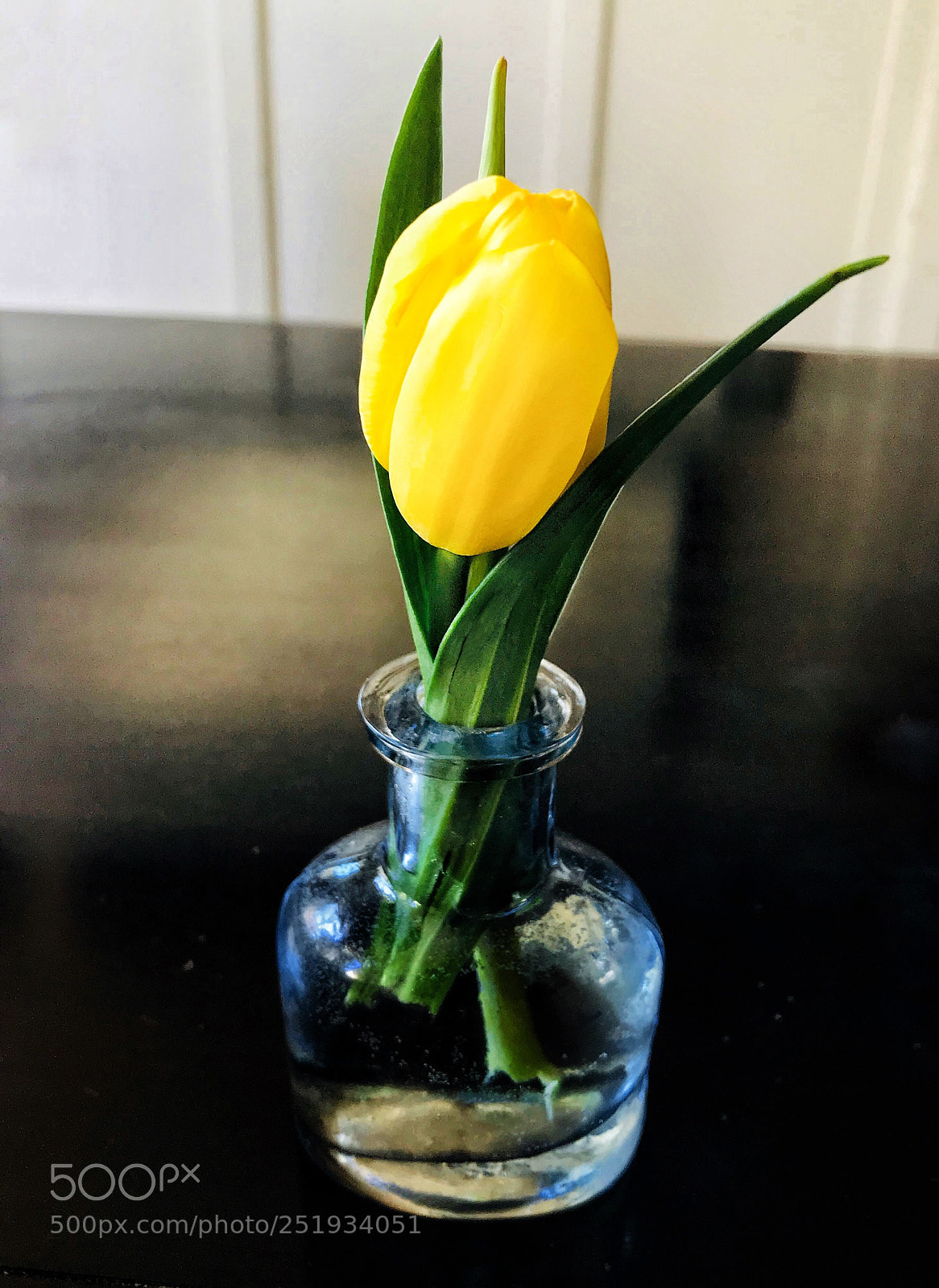 Apple iPhone 7 Plus sample photo. Untitled photography