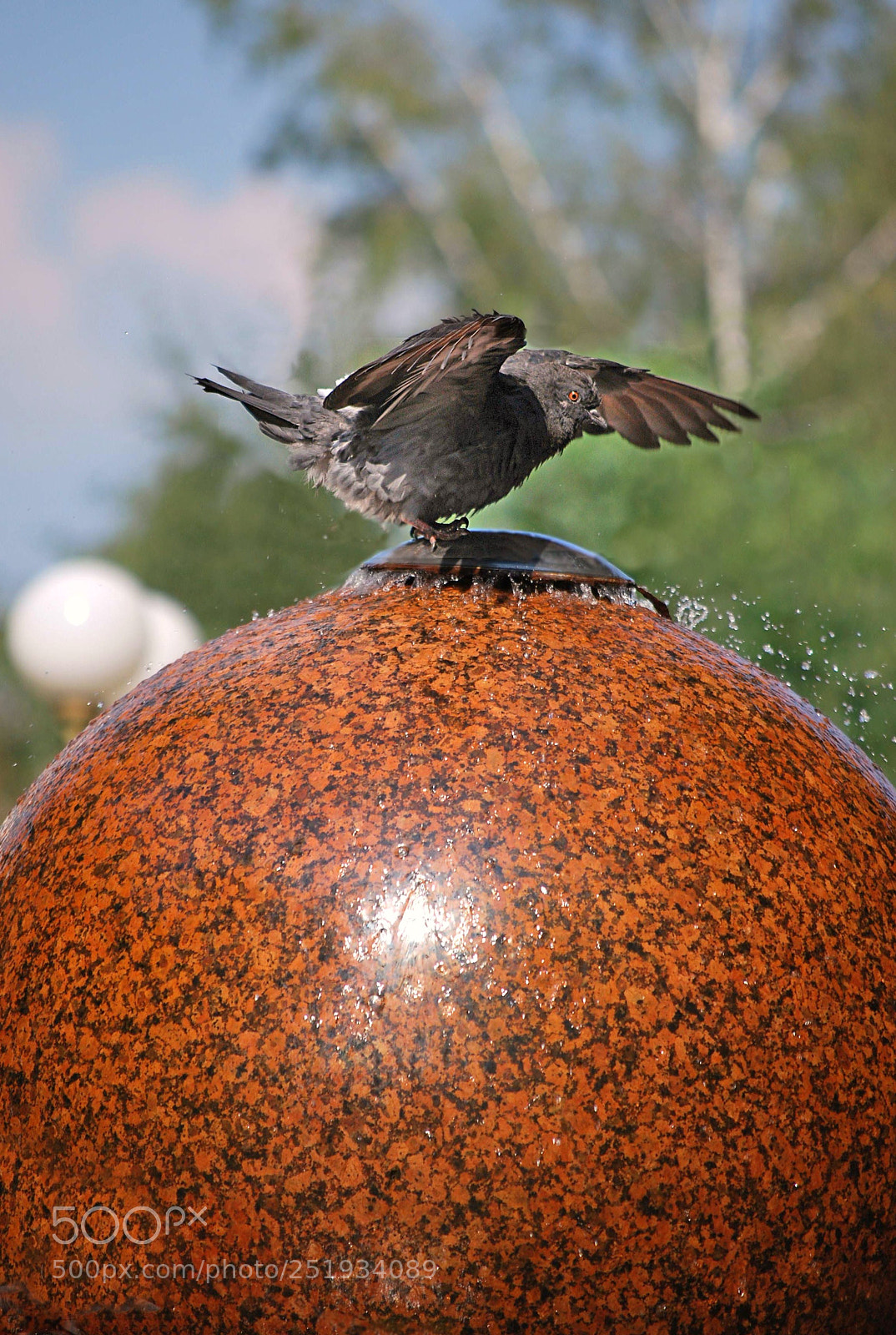 Nikon D60 sample photo. Beafaborig photography