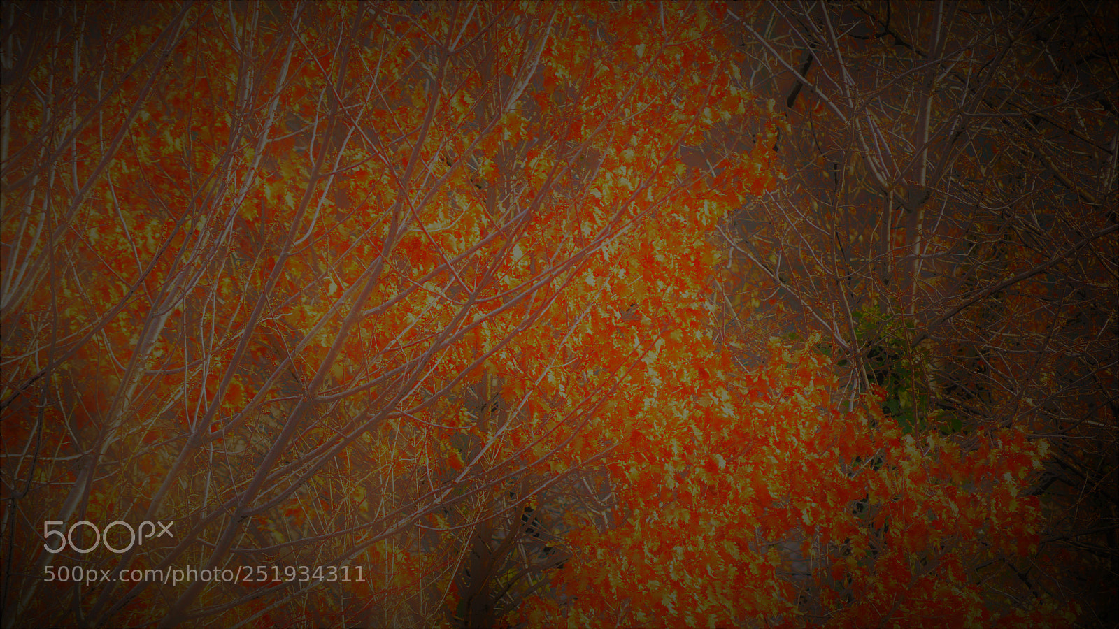 Nikon D3200 sample photo. Untitled photography