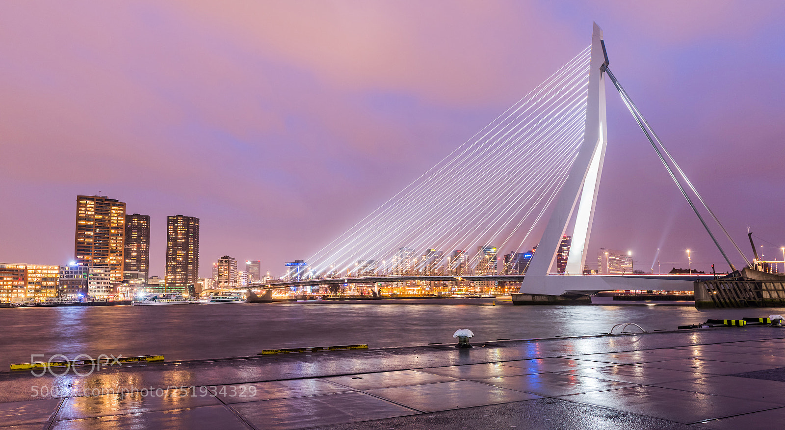 Nikon D810 sample photo. Rotterdam erasmus bridge photography
