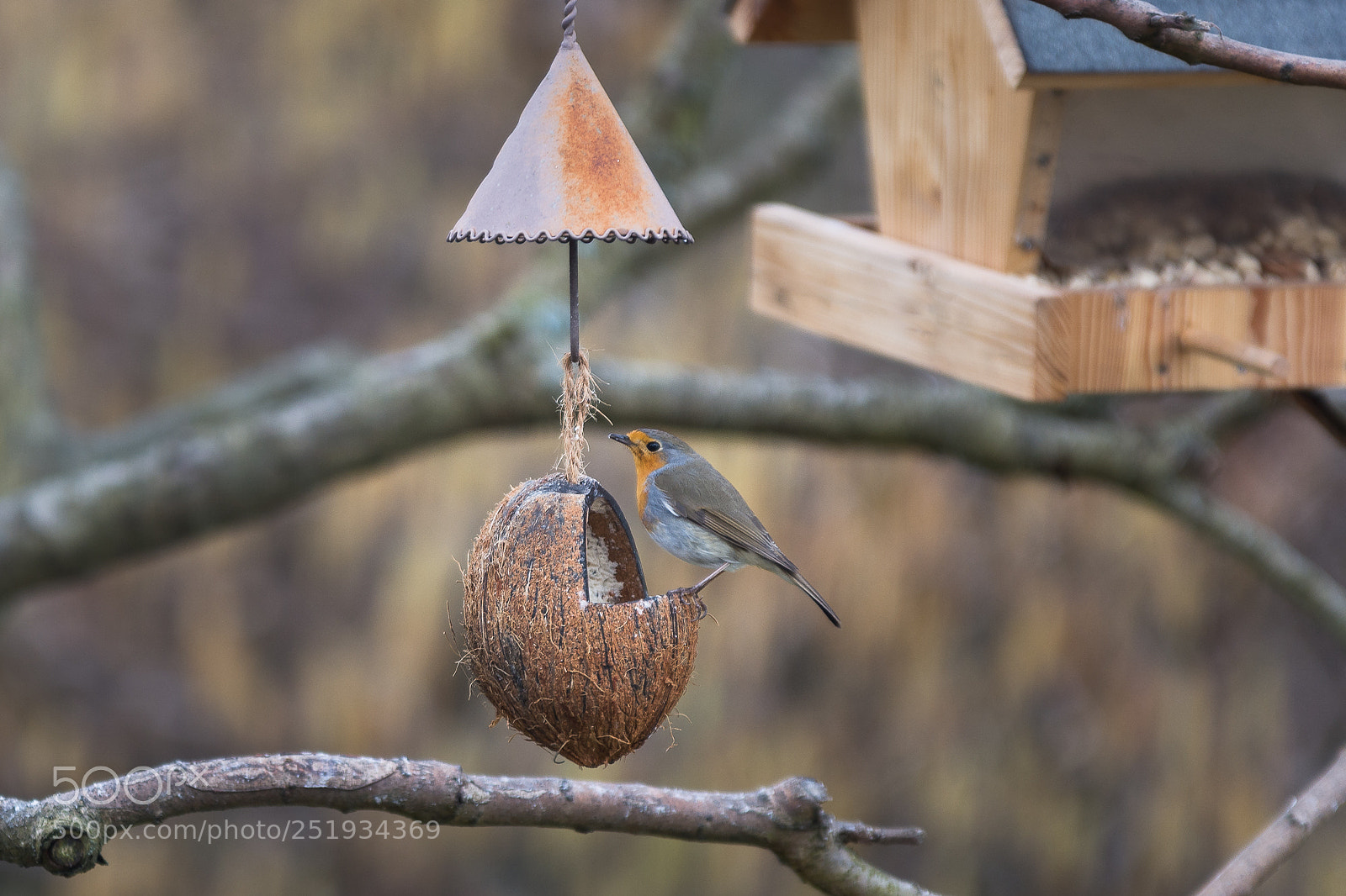 Nikon D7100 sample photo. Rotkehlchen photography