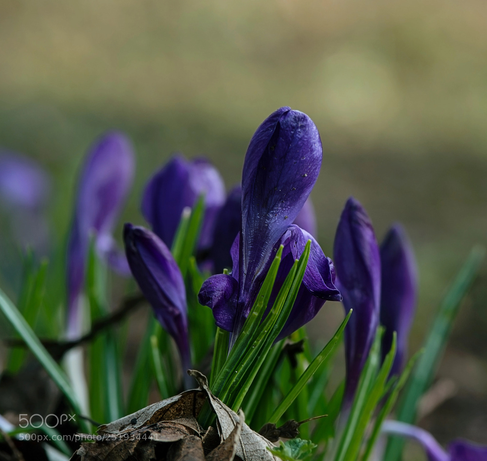 Nikon D800 sample photo. Put yourself together photography