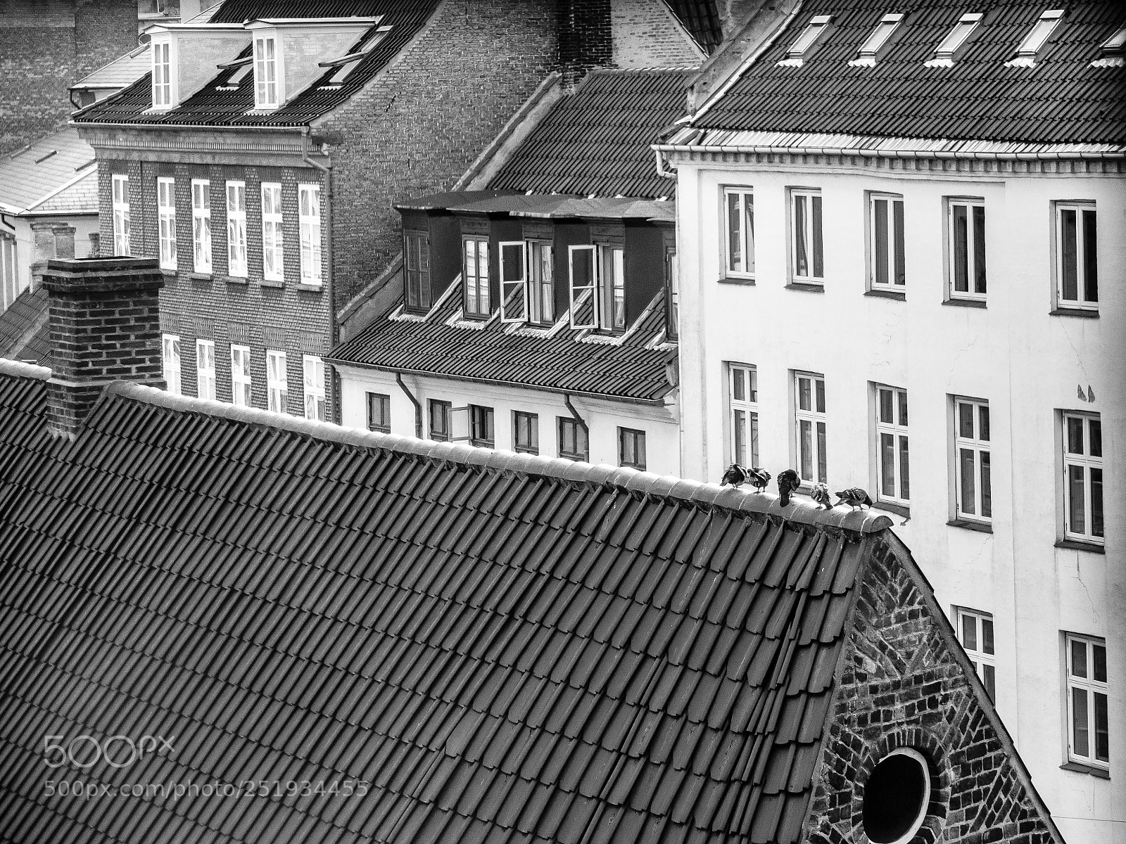 Canon EOS 600D (Rebel EOS T3i / EOS Kiss X5) sample photo. Views from copenhagen round photography