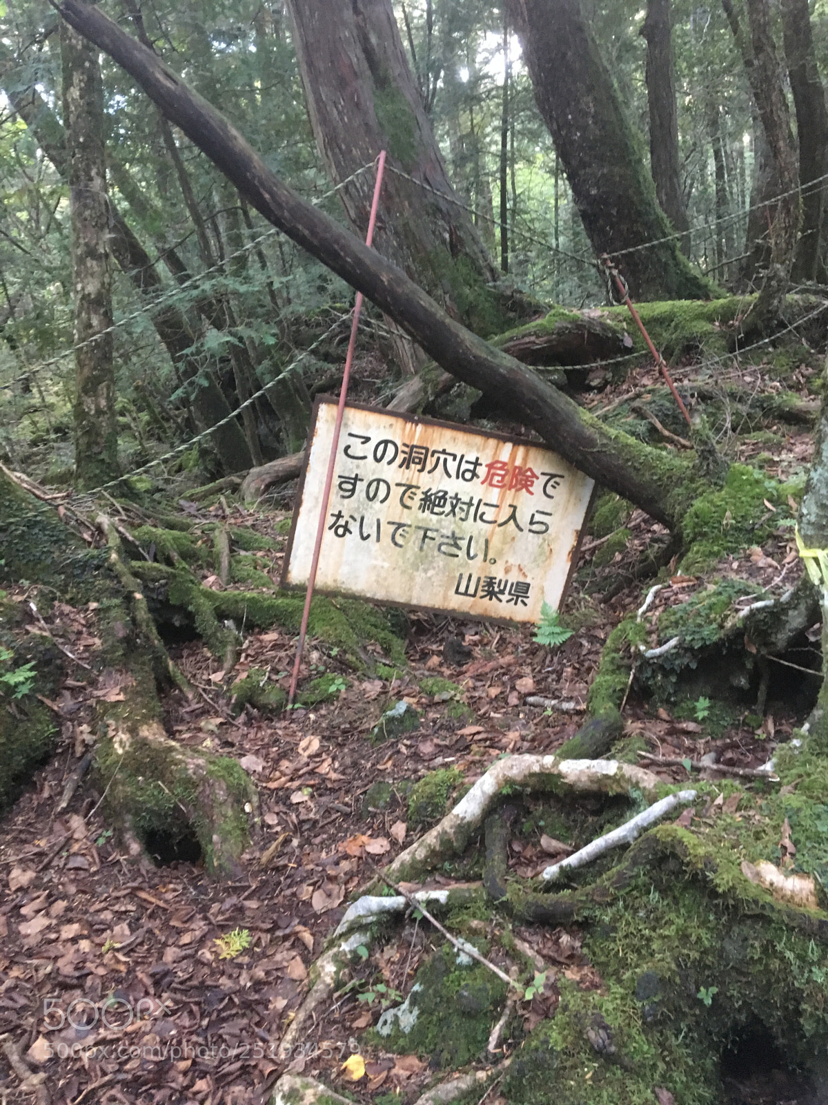 Apple iPhone 6s sample photo. Aokigahara sign photography