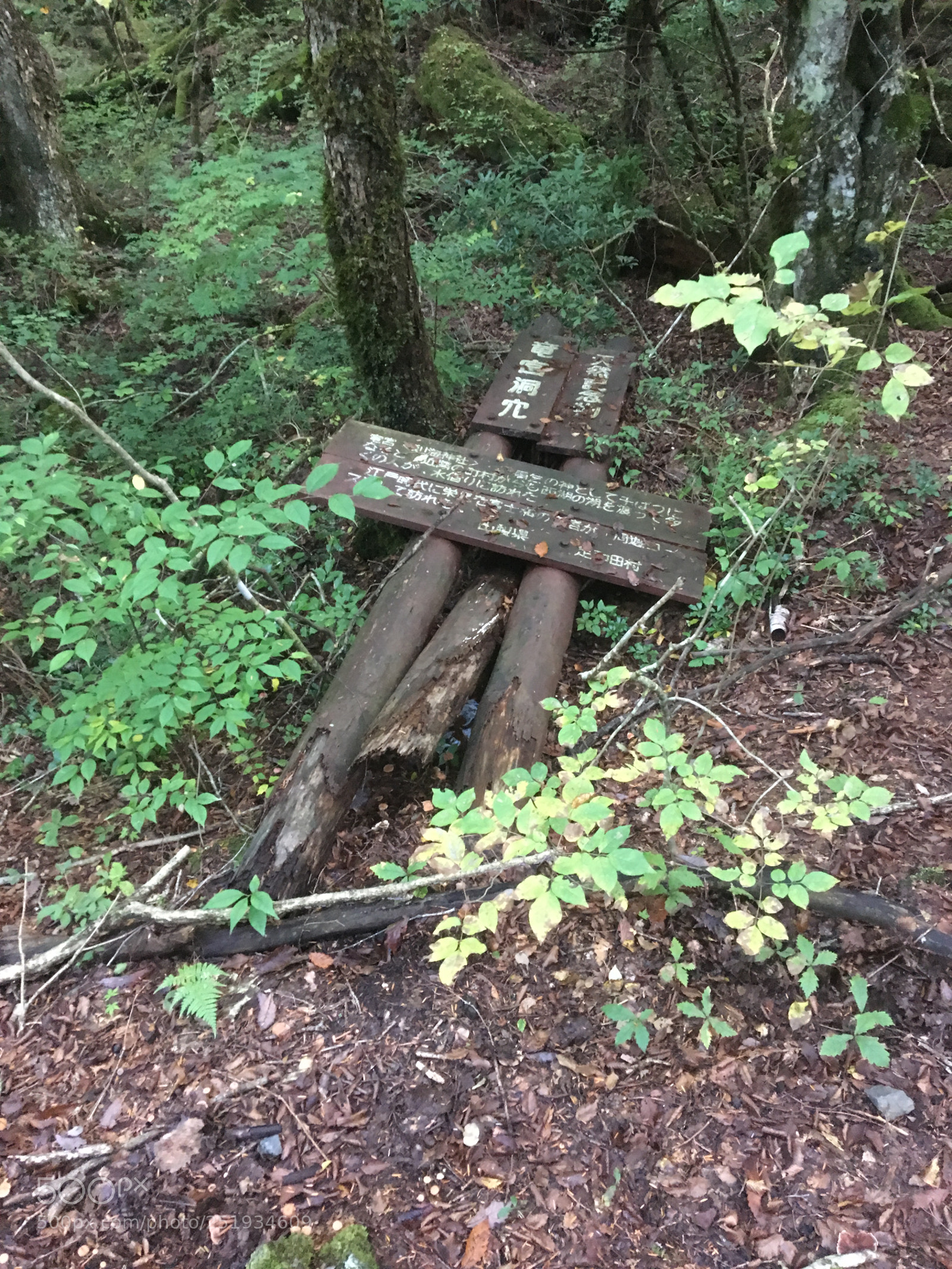 Apple iPhone 6s sample photo. Aokigahara sign 2 photography