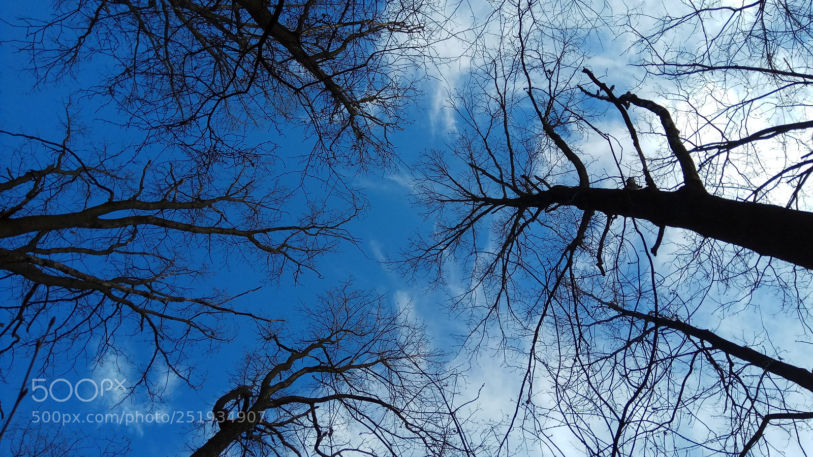 Xiaomi Redmi Note 4 sample photo. All blue photography